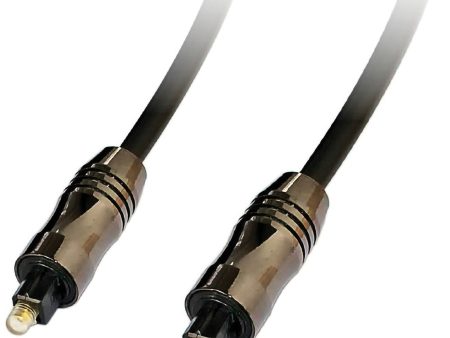 Alva Professional Optical Cable, 2-Meter Supply