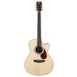 Tyma TYM-TG-12 Acoustic Guitar (With Bag) Online