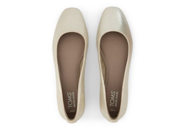 Briella Ballet Flat - Champagne Metallic Suede Fashion