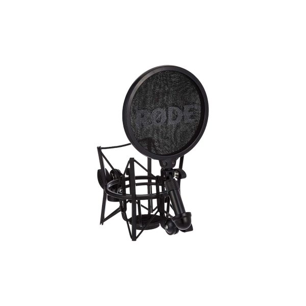 Rode NT2-A Multi-Pattern Dual 1  Condenser Microphone Discount