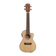 Alvarez AU-70WCCE Artist Concert Ukulele Electro-Acoustic Online now