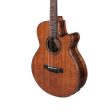 Tyma TYM-A1-CUSTOM-ZL  Acoustic Guitar (With Bag) Discount